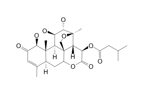 Cedronolactone A