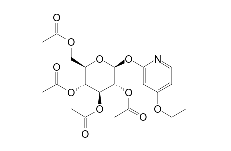 4-ethoxy-2-(beta-D-glucopyranosyloxy)pyridine, tetraacetate (ester)