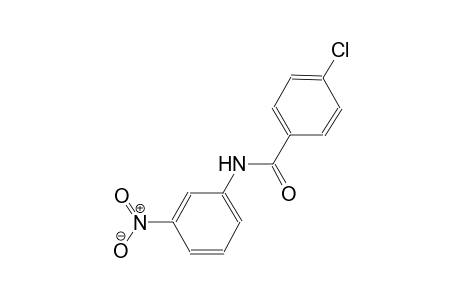 4-chloro-N-(3-nitrophenyl)benzamide