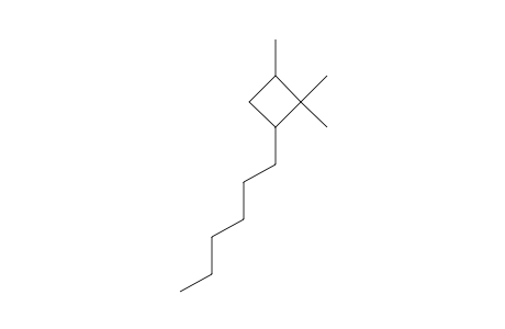 Cyclobutane, 2-hexyl-1,1,4-trimethyl-