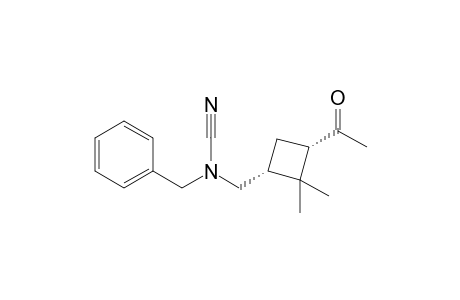 [(1R,3S)-3-acetyl-2,2-dimethylcyclobutyl]methyl-(phenylmethyl)cyanamide