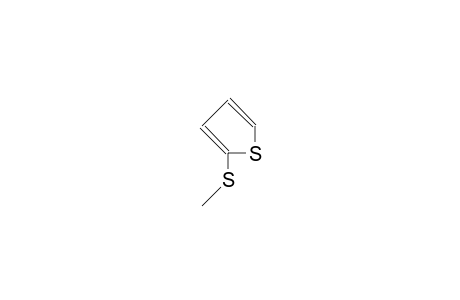 2-METHYLTHIO-THIOPHEN