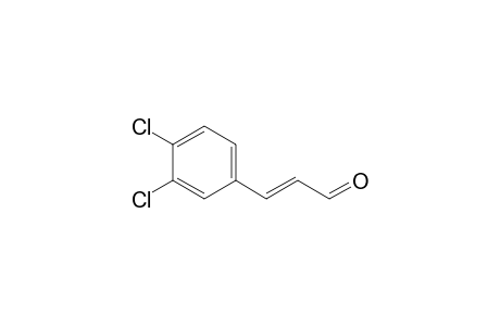 (E)-3-(3,4-CHLOROPHENYL)-ACRYLALDEHYDE