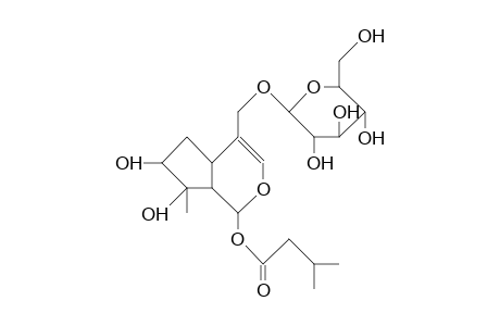 8-Epi-valerosidatum