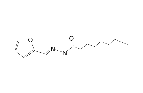 Octanohydrazide, N2-(2-furfurylidene)-