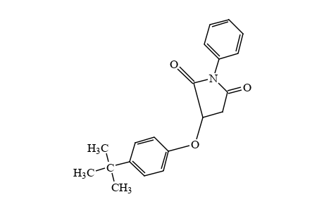 2-(p-tert-butylphenoxy)-N-phenylsuccinimide