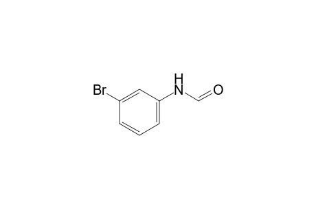 N-formyl-m-bromoaniline