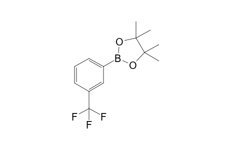 4,4,5,5-Tetramethyl-2-(3-(trifluoromethyl)phenyl)-1,3,2-dioxaborolane