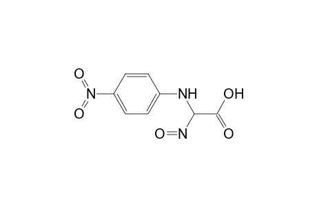 Acetic acid, 2-(4-nitrophenylamino)-2-nitroso-