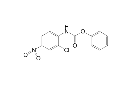 2-chloro-4-nitrocarbanilic acid, phenyl ester