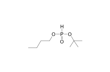 BUTYL(TERT-BUTYL)PHOSPHOROUS ACID