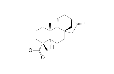 (Kaura - 9(11),16 - dien - 19 - oic acid