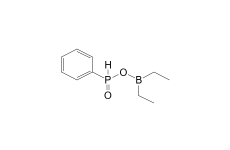 Phosphinic acid, phenyl-, anhydride with diethylborinic acid