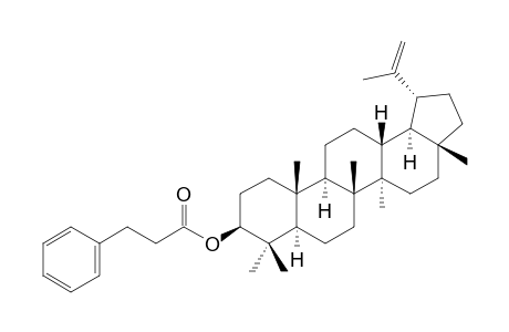 LUPEOL-BETA-PHENYLPROPIONATE