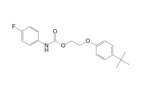 2-(4-Tert-butylphenoxy)ethyl 4-fluorophenylcarbamate