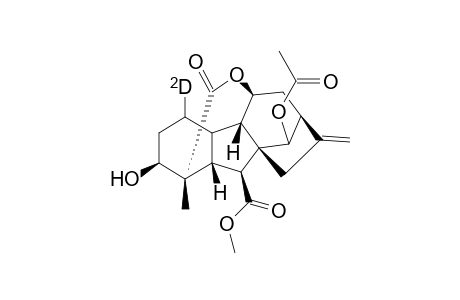 [1.xi.-(2)H]GA(1) methyl ester 13-acetate