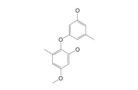 2,3'-DIHYDROXY-4-METHOXY-5',6-DIMETHYL-DIPHENYLETHER