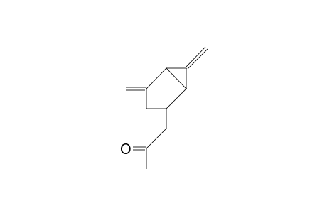 2,6-Dimethylene-4-(2-oxo-propyl)-bicyclo(3.1.0)hexane isomer 1