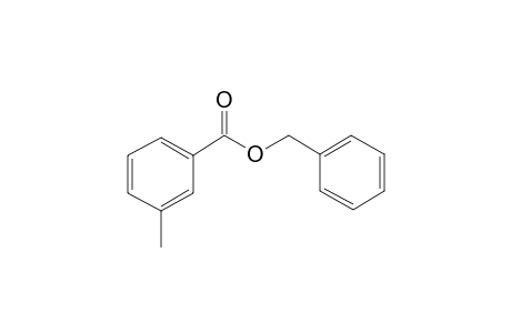 m-Toluic acid, benzyl ester