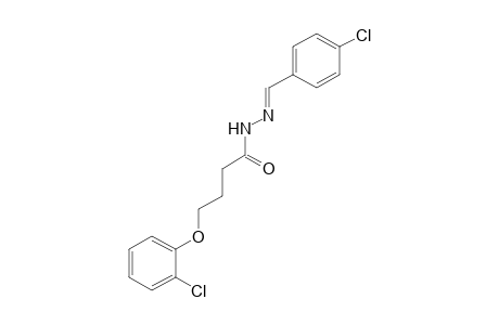 4-(o-chlorophenoxy)butyric acid, (p-chlorobenzylidene)hydrazide
