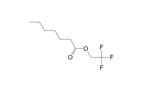 Heptanoic acid, 2,2,2-trifluoroethyl ester