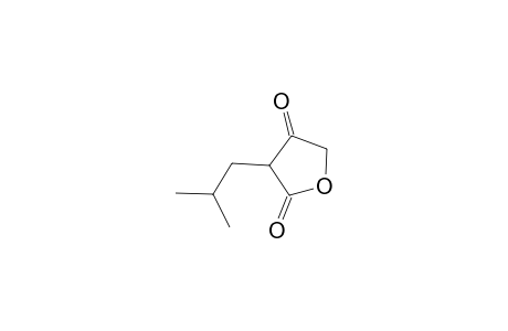 2,4(3H,5H)-Furandione, 3-isobutyl-