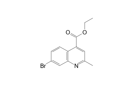 7-bromo-2-methylcinchoninic acid, ethyl ester