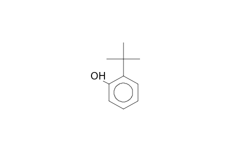 o-Tert-butylphenol