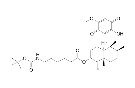 (+)-3.alpha.-(6-BOC -aminohexanoic acid ester)ilimaquinone