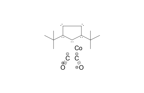 Cobalt, dicarbonyl-(1,3-di-t-butylcyclopentadienyl)-