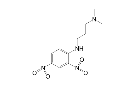 N,N-dimethyl-N'-(2,4-dinitrophenyl)-1,3-propanediamine