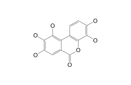 3,4,8,9,10-PENTAHYDROXY-DIBENZO-[B,D]-PYRAN-6-ONE