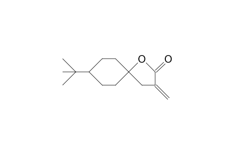 cis-8-tert.-Butyl-3-methylen-1-oxaspiro-[4.5]-decan-2-on
