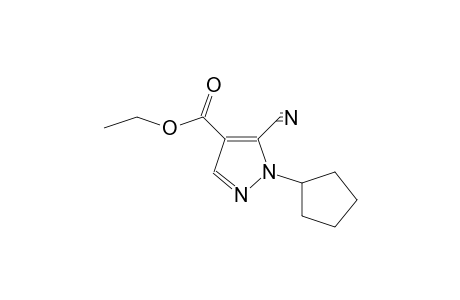 5-cyano-1-cyclopentyl-pyrazole-4-carboxylic acid ethyl ester