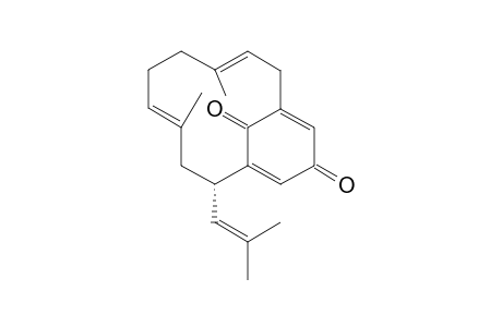 LONGITHORONE_D