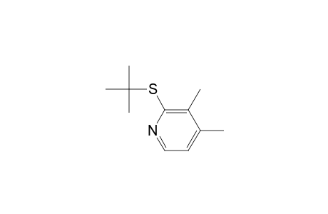 3,4-Lutidine, 2-(tert-butylthio)-