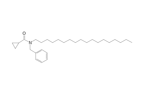 Cyclopropanecarboxamide, N-benzyl-N-octadecyl-