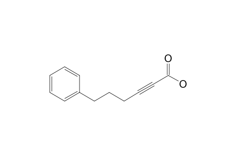 6-Phenylhex-2-ynoic acid