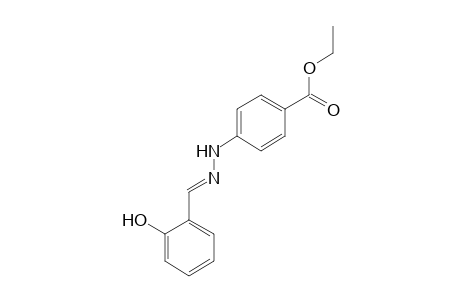 p-(Salicylidenehydrazino)benzoic acid, ethyl ester