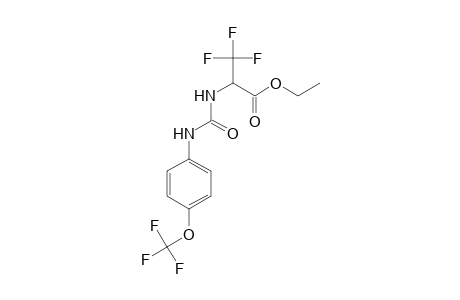 3,3,3-trifluoro-2-[[4-(trifluoromethoxy)phenyl]carbamoylamino]propionic acid ethyl ester