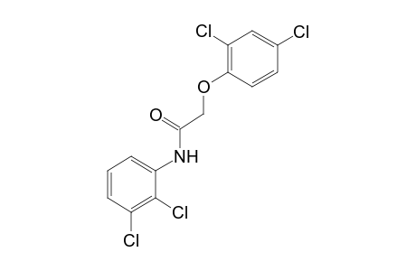 2',3'-dichloro-2-(2,4-dichlorophenoxy)acetanilide