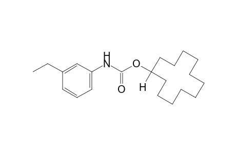 m-ethylcarbanilic acid, cyclododecyl ester