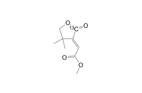 (E)-Methyl 4,4-Dimethyl-2-oxotetrahydro(2-13C)furan-3-ylideneacetate