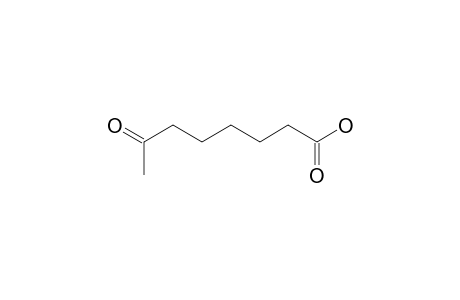 7-Oxooctanoic acid