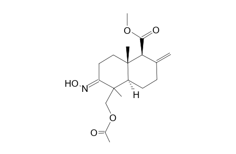 (1S,2S,6R) Methyl 7-Acetoxymethyl-3-methylene-1,7-dimethyl-8-oximidobicyclo[4.4.0]decan-2-carboxylate