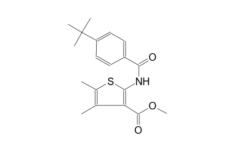 3-thiophenecarboxylic acid, 2-[[4-(1,1-dimethylethyl)benzoyl]amino]-4,5-dimethyl-, methyl ester