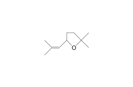 2,2-DIMETHYL-5-(2-METHYLPROPENYL)TETRAHYDROFURAN