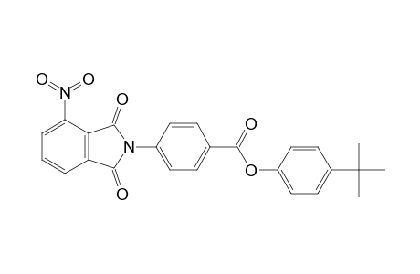 (4-tert-butylphenyl) 4-(4-nitro-1,3-dioxo-isoindolin-2-yl)benzoate