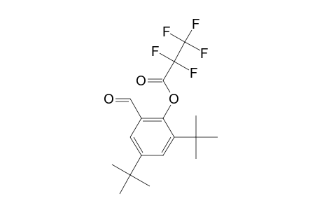 3,5-di-Tert-butyl-2-hydroxybenzaldehyde, o-pentafluoropropionyl-