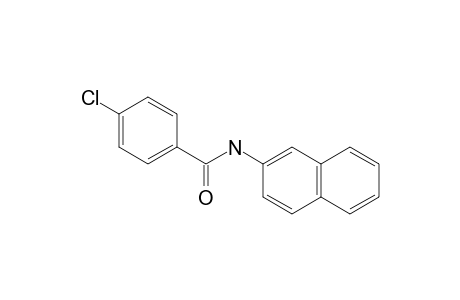 p-chloro-N-2-naphthylbenzamide